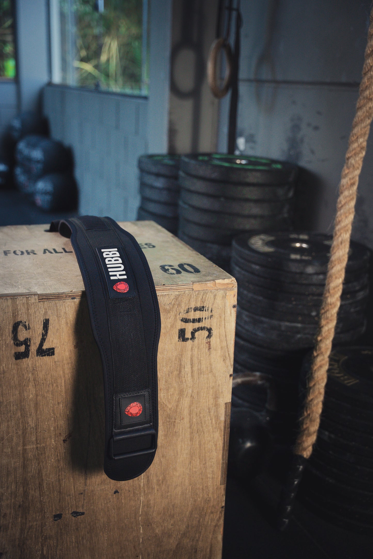 CINTO LOMBAR LPO - CORELOCK